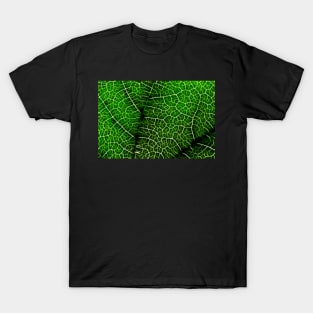 Green Leaf Macro T-Shirt